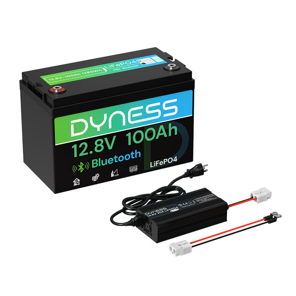 Dyness 12V 100Ah Lithium Battery with Bluetooth