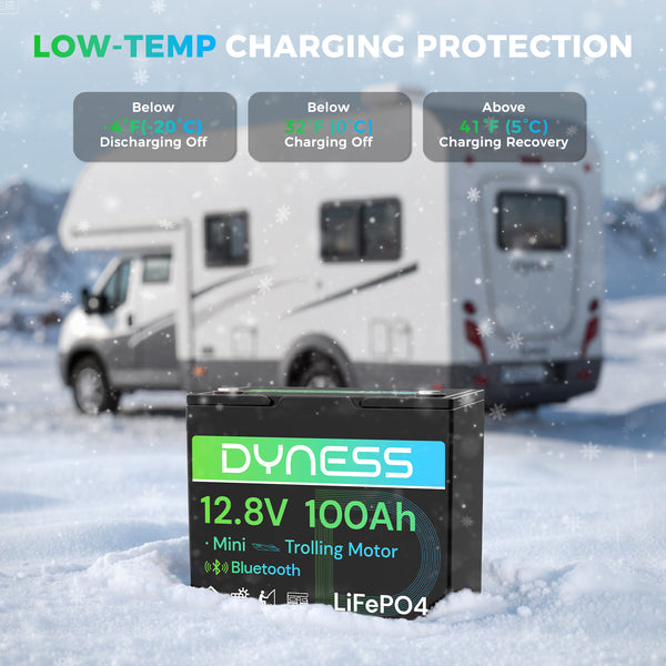 Dyness 12V 100Ah Group 24 Bluetooth-Enabled LiFePO4 Deep Cycle Battery
