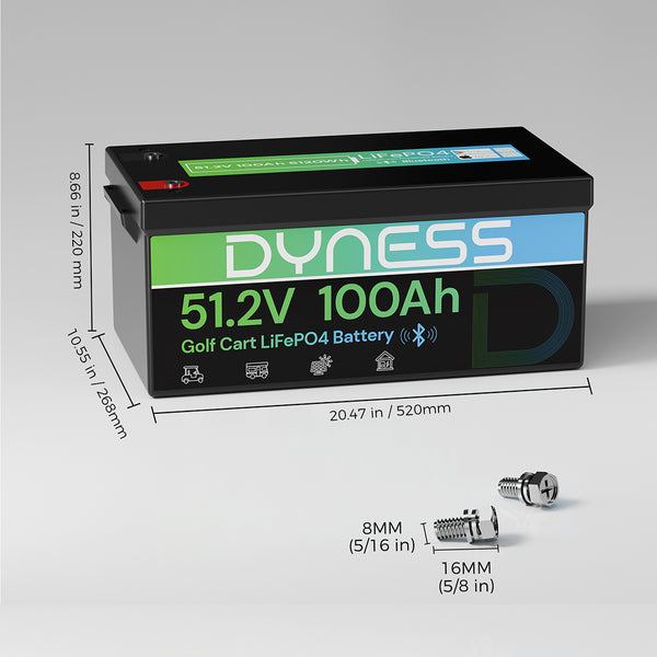 Dyness 48V 100Ah Lithium-Ion Golf Cart Battery – Equipped with 200A BMS & Real-Time Monitoring