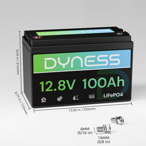 Dynesspower AR1.2 12V 100Ah LiFePO4 Battery