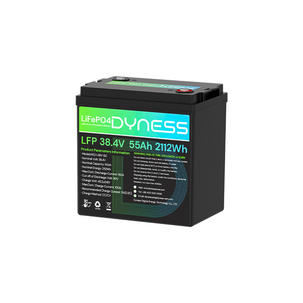 Dyness 36V 55Ah Smart Deep Cycle Lithium Battery