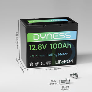 Dynesspower 12V 100Ah Group 24 LiFePO4 Lithium Deep Cycle Battery