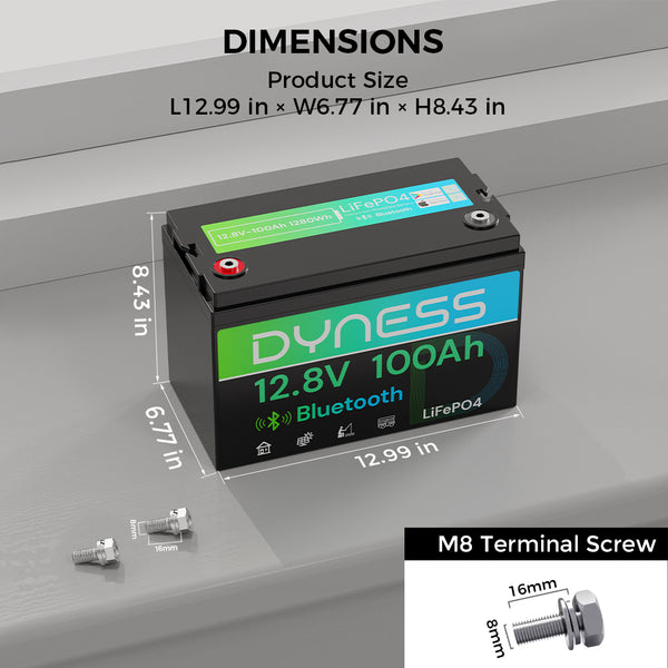 Dyness 12V 100Ah Lithium Battery with Bluetooth