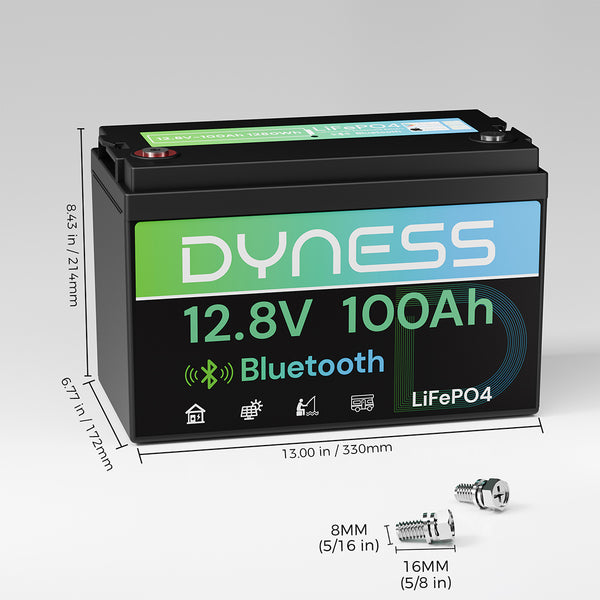 Dyness 12V 100Ah Lithium Battery with Bluetooth
