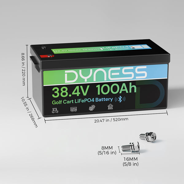 Dyness 36V 100Ah Lithium Golf Cart Battery – Featuring 200A BMS & Real-Time Monitoring