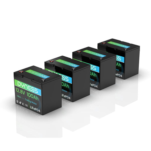 Dyness 12V 100Ah LiFePO4 Battery