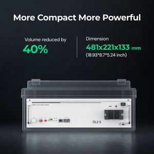 Dynesspower DL2.5 24V 100Ah LiFePO4 Battery for RV & Off-Grid Solar