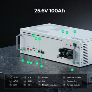 Dynesspower DL2.5 24V 100Ah LiFePO4 Battery for RV & Off-Grid Solar