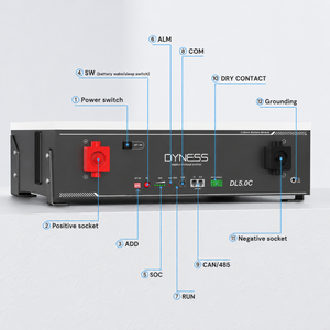 Dynesspower DL5.0C 51.2V 100Ah 5.12kWh LiFePO4 Server Rack Home Energy Storage Battery