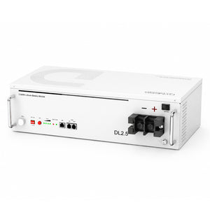 Dynesspower DL2.5 24V 100Ah LiFePO4 Battery for RV & Off-Grid Solar